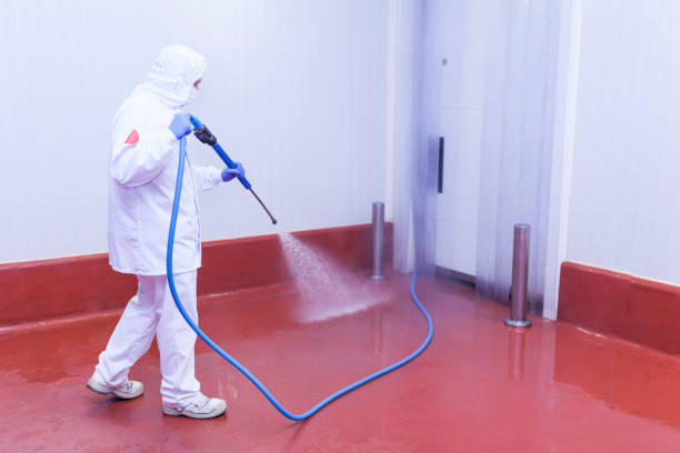 Best Pre-Holiday Cleaning  in Dodgeville, WI